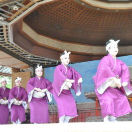 Okinawan Festival 2012
