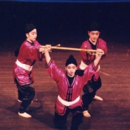 Recital Performances 2001