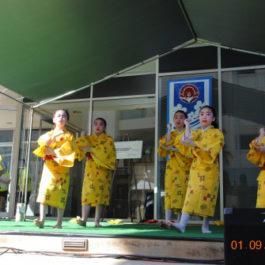 New Year Ohana Festival 2011